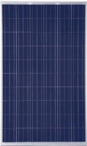 JA solar JAP6 255W